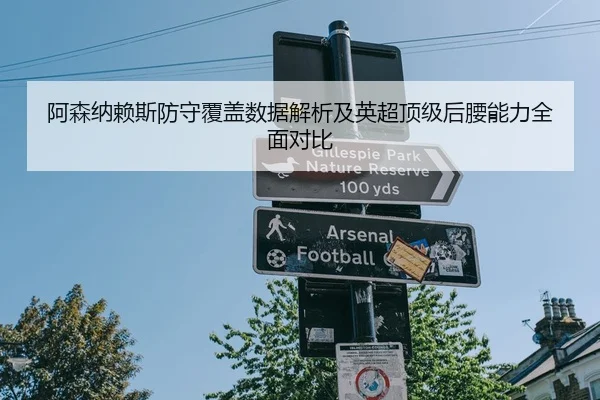 阿森纳赖斯防守覆盖数据解析及英超顶级后腰能力全面对比