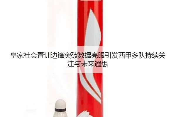 皇家社会青训边锋突破数据亮眼引发西甲多队持续关注与未来遐想